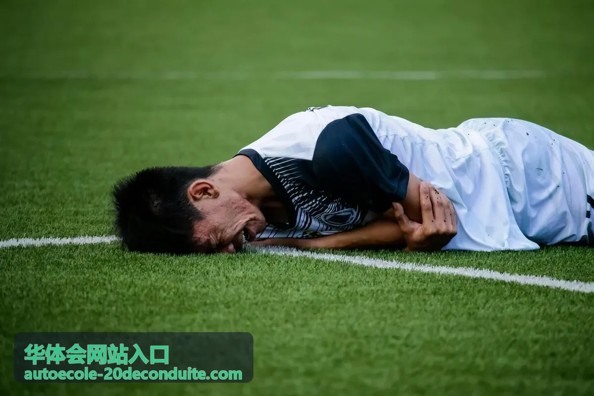 华体会网站入口访问指引封面图